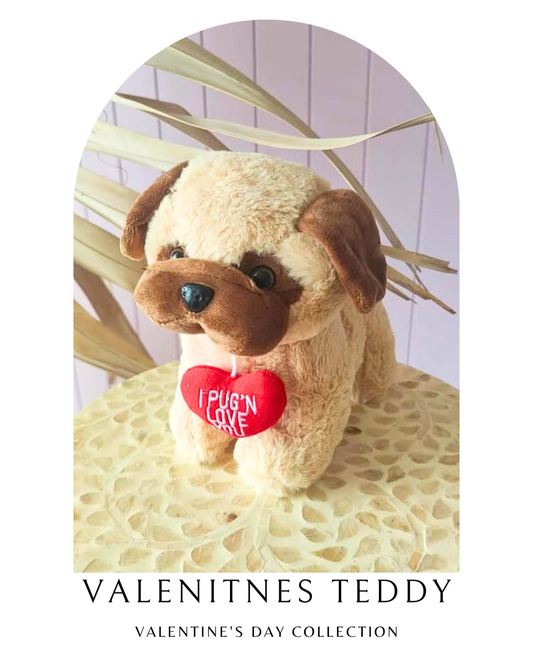 Valentines Teddy